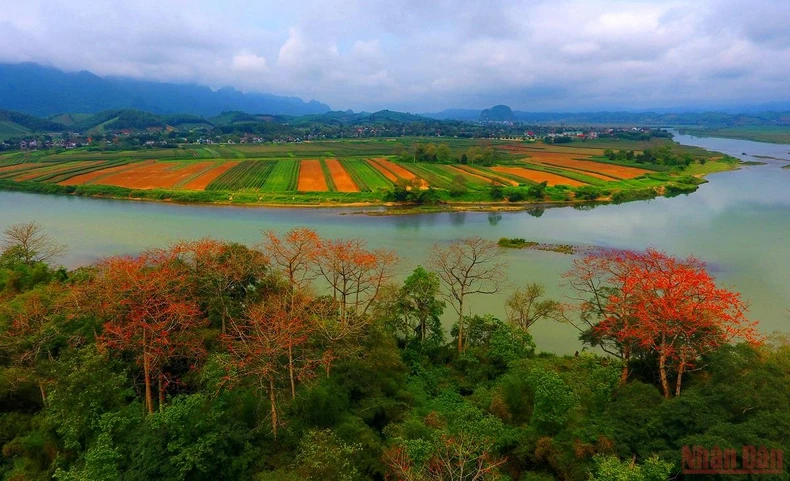 Rực đỏ mùa hoa gạo bên sông Lam -0