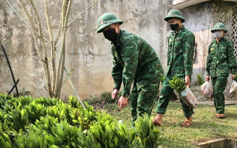 Bộ đội biên phòng Sơn La hưởng ứng đề án trồng 1 tỷ cây xanh -0