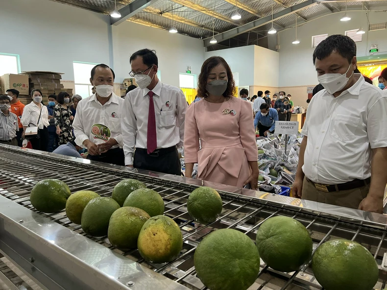 Khánh thành khu phức hợp đa chức năng - Hợp tác xã Bưởi da xanh tỉnh Bến Tre -0