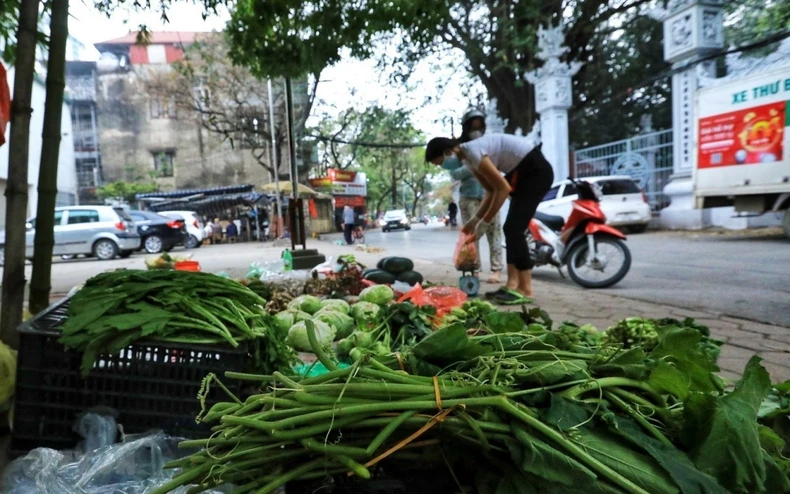 ttxvn_ha_noi_binh_thuong_moi_11-1648435728585.jpeg