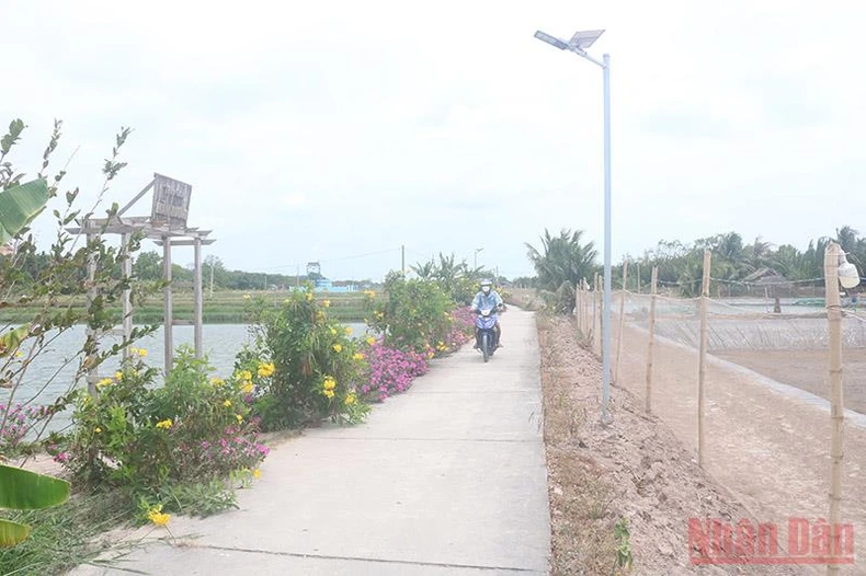 Trà Vinh công bố huyện Châu Thành đạt chuẩn nông thôn mới -0
