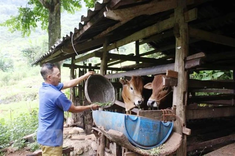 Xây dựng Cơ sở dữ liệu quốc gia về kiểm soát tài sản, thu nhập -0