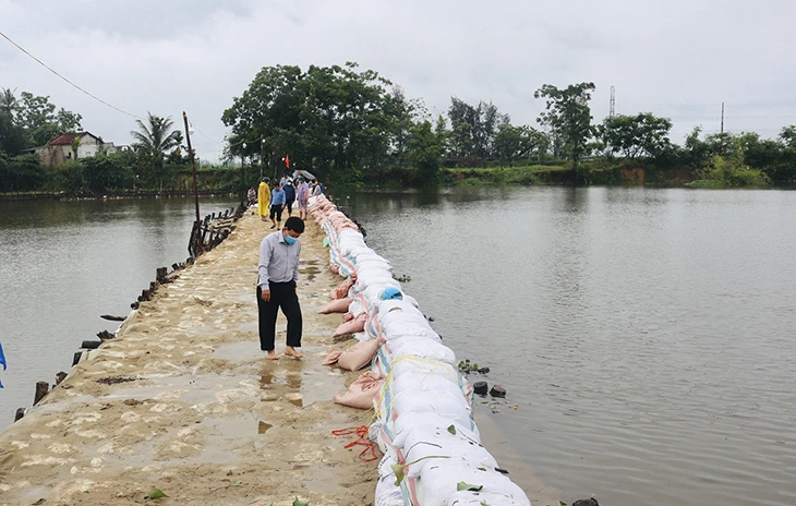 Nước lũ cuốn trôi đập ngăn mặn ở Quảng Nam -0