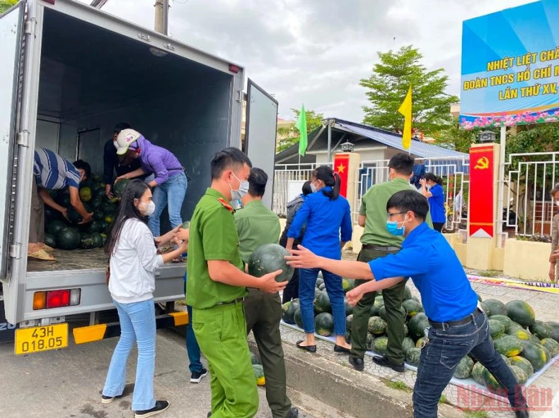 Hỗ trợ bà con nông dân tiêu thụ dưa hấu do mưa ngập -0