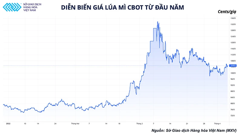 Lúa mì Ấn Độ trở thành cứu cánh cho nguồn cung toàn cầu -0