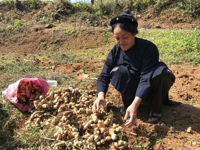 35 tỷ đồng hỗ trợ trực tiếp hơn 15.000 người dân khó khăn huyện Hà Quảng -0