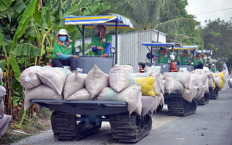Đón thời cơ tăng trưởng xuất khẩu gạo -0