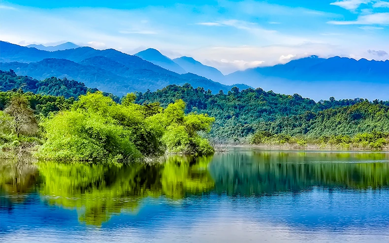 “Bệnh viện” cho động vật hoang dã bắc Trường Sơn -0