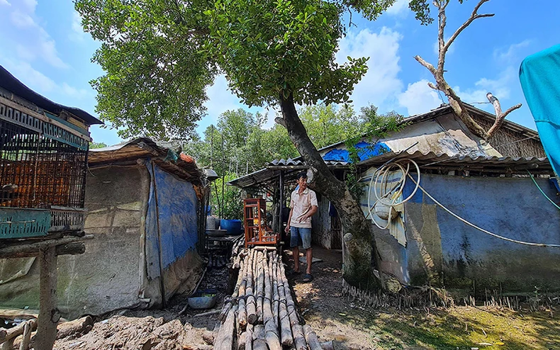Đê biển Cà Mau lún dần xuống biển -0