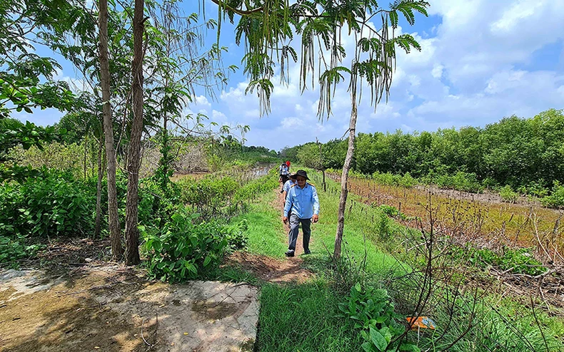 Đê biển Cà Mau lún dần xuống biển -0