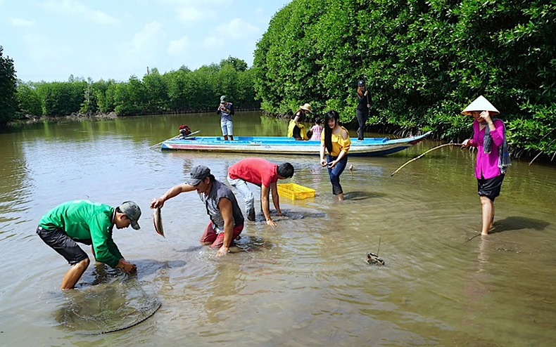 Cà Mau triển khai đề án “Làng Văn hóa Du lịch Đất Mũi” -0