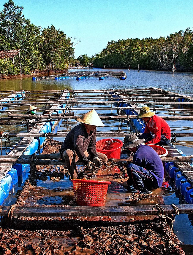 Cà Mau triển khai đề án “Làng Văn hóa Du lịch Đất Mũi” -0