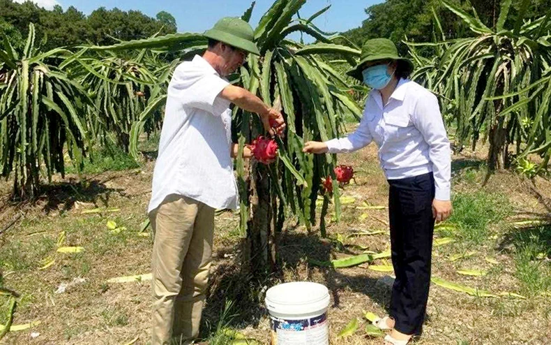 Quảng Ninh quyết tâm chuyển đổi số trong nông nghiệp -0