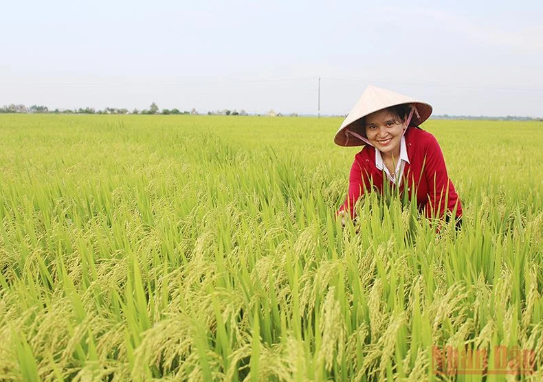 Quảng Trị nửa thế kỷ xây dựng, đổi mới và phát triển -0