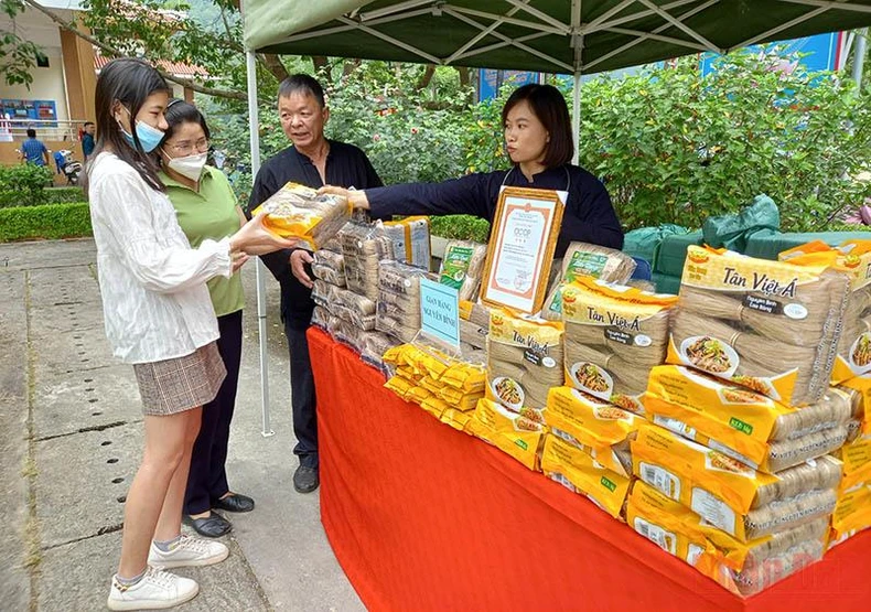 Khai mạc Chương trình du lịch về nguồn tại Pác Bó -0