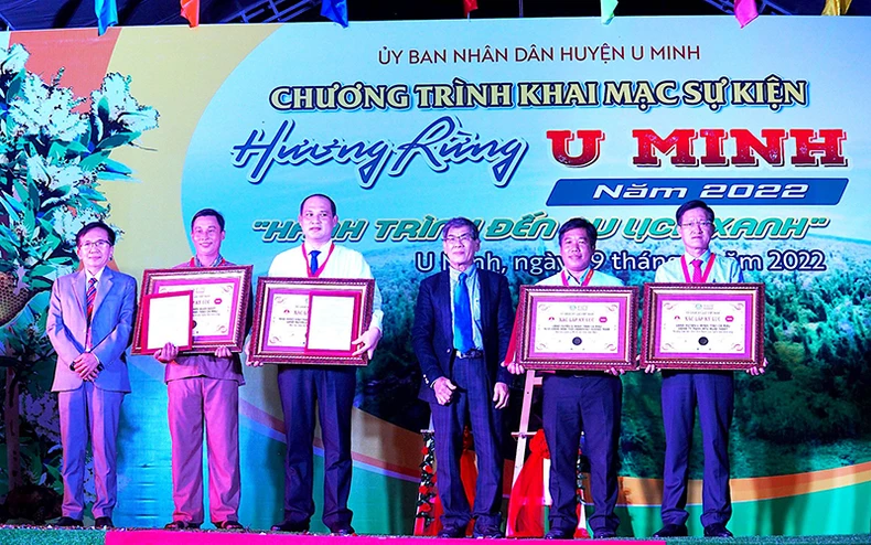 Hội thi chim hót ở miệt rừng U Minh Hạ -0