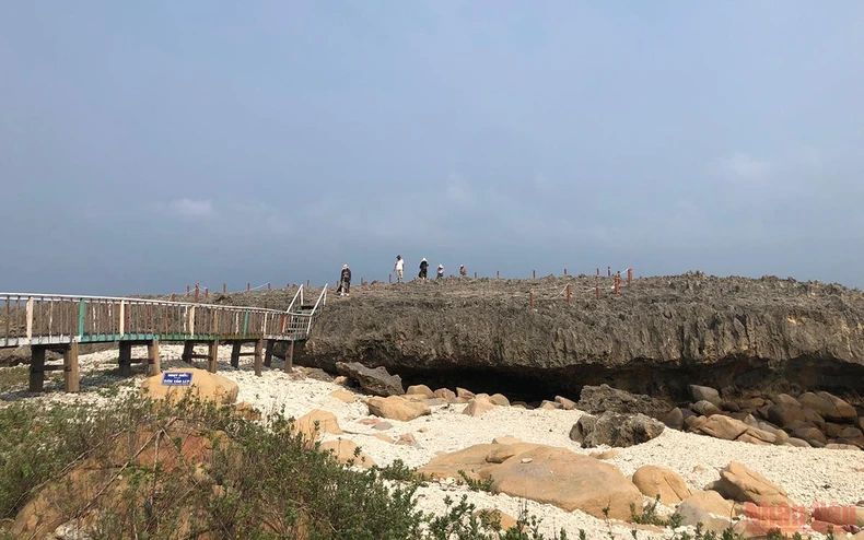 Khám phá bãi đá cổ di sản Hang Rái, Ninh Thuận -0