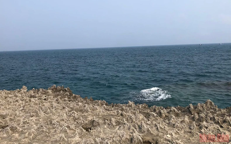 Khám phá bãi đá cổ di sản Hang Rái, Ninh Thuận -5