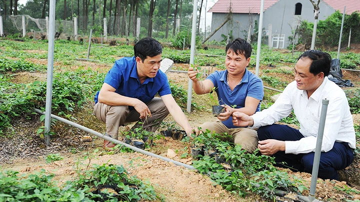 Báu vật núi Dành -0