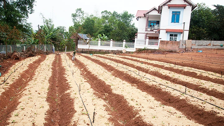 Báu vật núi Dành -0
