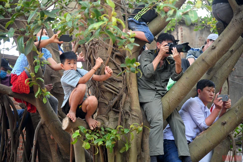 Bắc Giang: Độc đáo thanh niên đóng khố “vật cầu bùn” -0