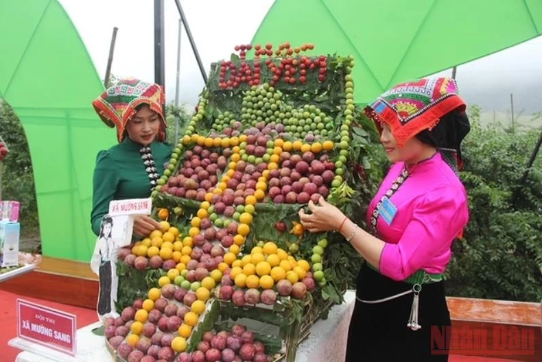 Sôi động Ngày hội hái mận Mộc Châu -0