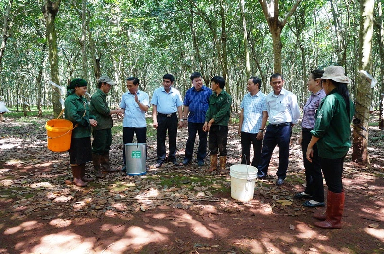 Chăm lo đời sống công nhân dân tộc thiểu số -0