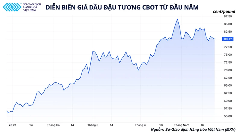 Thế giới vẫn đứng trước nguy cơ thiếu dầu ăn dù xuất khẩu dầu cọ của Indonesia đã nối lại -0
