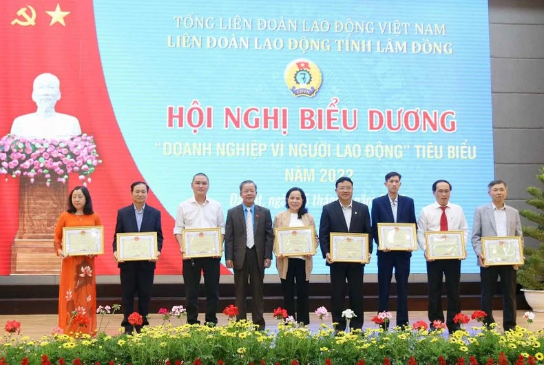 Lâm Đồng biểu dương 30 doanh nghiệp “vì người lao động” tiêu biểu -0
