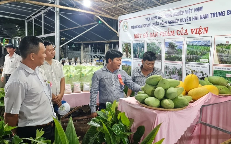 Bình Định: Khai mạc Ngày hội Nông sản huyện Hoài Ân lần thứ I năm 2022 -0