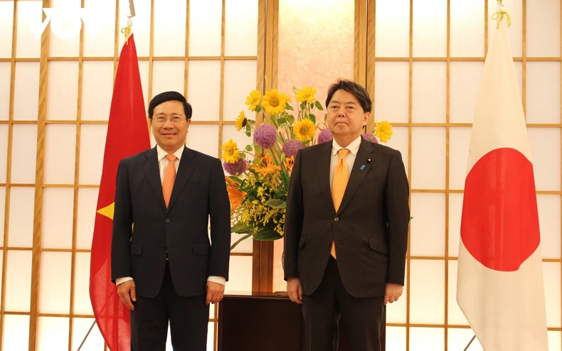 Thúc đẩy quan hệ Việt Nam-Nhật Bản phát triển mạnh mẽ, thực chất -0