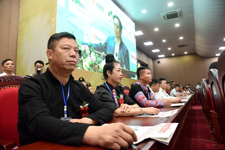 Tiếp sức, hỗ trợ nông dân phục hồi, phát triển nông nghiệp, nông thôn bền vững -0
