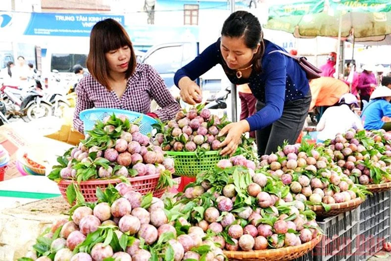 Du lịch hè với “Festival cao nguyên trắng Bắc Hà” -0