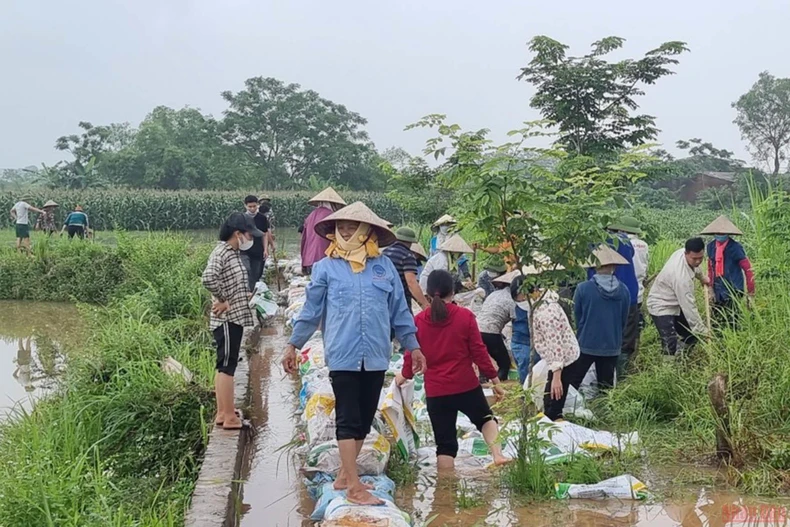 Vĩnh Phúc thiệt hại nặng nề do mưa -0