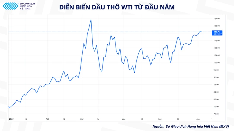 Giá dầu thô thế giới sẽ biến động ra sao sau cuộc họp của OPEC+ ? -0