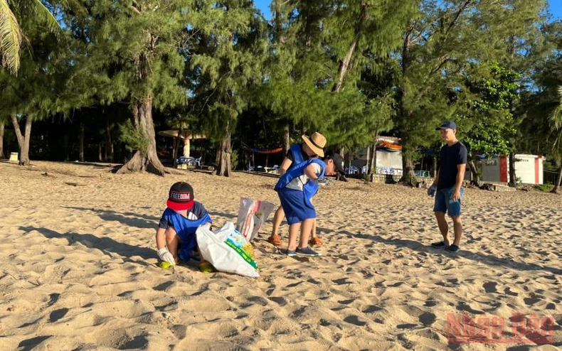 Bình Định tổ chức nhiều hoạt động ý nghĩa hưởng ứng ngày Môi trường thế giới -0