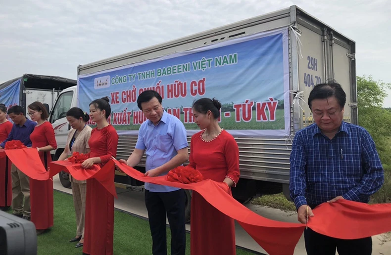 Lễ hội Lúa rươi hữu cơ Tứ Kỳ -0