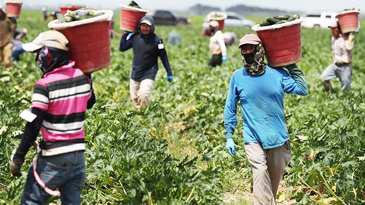 Khủng hoảng lương thực ở Địa Trung Hải -0