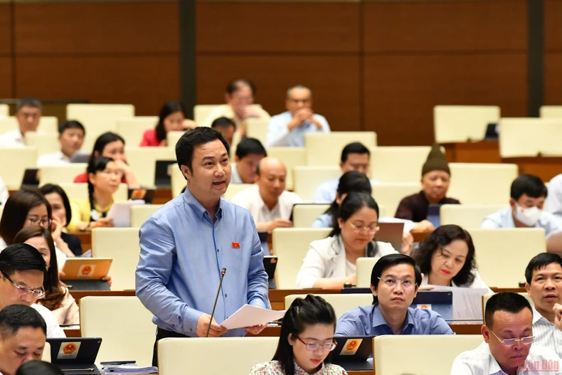 Hoàn thiện các quy định pháp luật về phòng, chống bạo lực gia đình -0