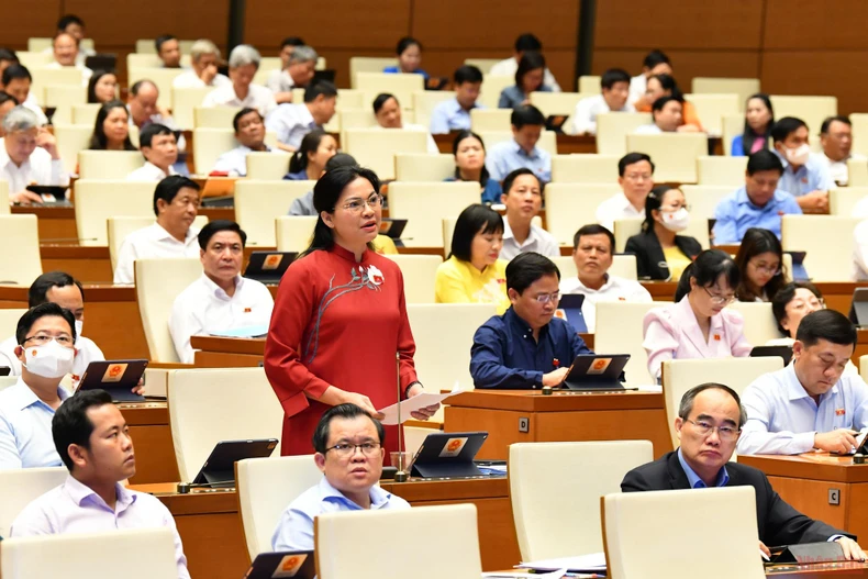 Hoàn thiện các quy định pháp luật về phòng, chống bạo lực gia đình -0
