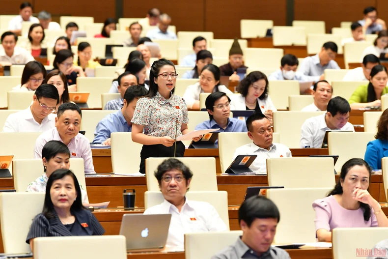 Hoàn thiện các quy định pháp luật về phòng, chống bạo lực gia đình -0