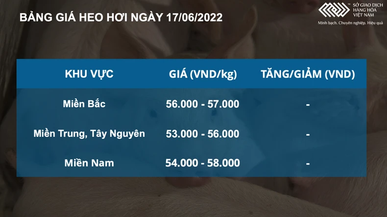 Chỉ số MXV-Index phục hồi sau 1 tuần giảm điểm -0