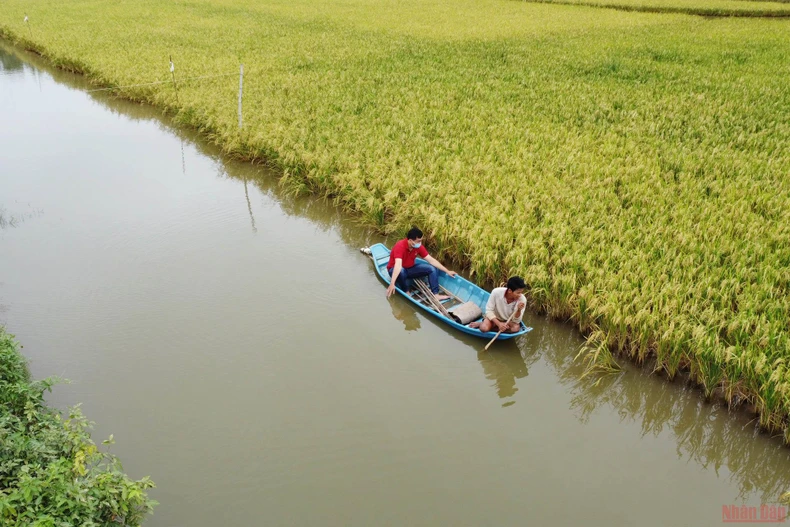 Bộ trưởng Lê Minh Hoan làm việc và thăm các doanh nghiệp, hợp tác xã tại tỉnh Trà Vinh -0