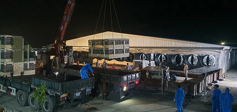 Hàng nghìn con lợn giống chất lượng cao từ châu Âu đã về đến Việt Nam -0
