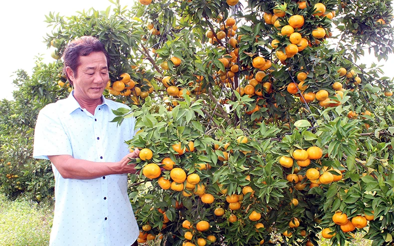 Bình Dương phát triển nông nghiệp công nghệ cao -0