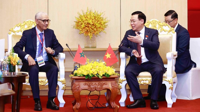 Việt Nam mong muốn đẩy mạnh quan hệ hữu nghị và hợp tác nhiều mặt với Maroc ảnh 1