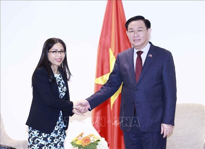 Hợp tác thương mại-đầu tư giữa Việt Nam và New Zealand là trụ cột quan trọng ảnh 2