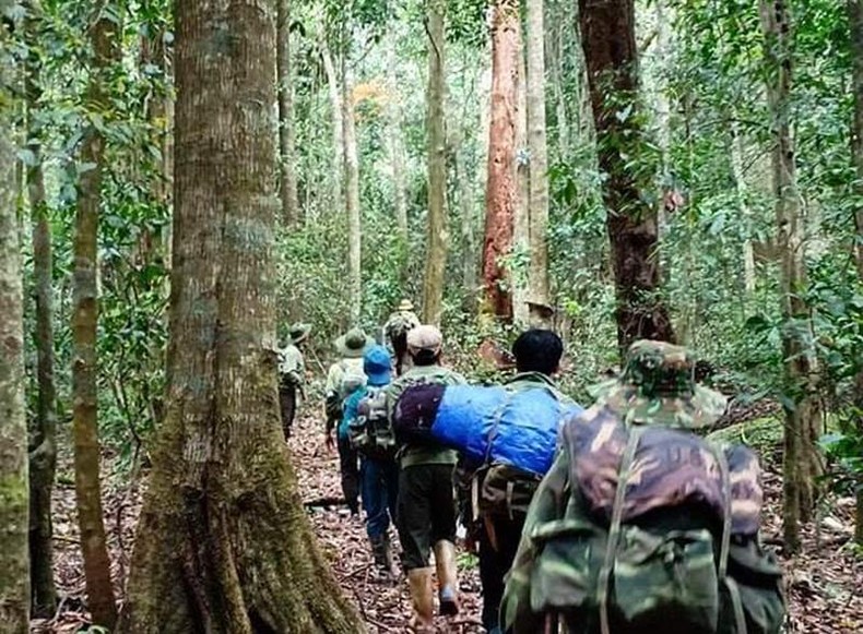 Nhân viên bảo vệ rừng ở Đắk Nông tiếp tục nghỉ việc do “mất phương hướng” ảnh 1