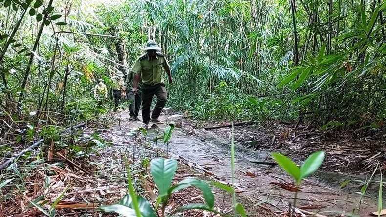 Nhân viên bảo vệ rừng ở Đắk Nông tiếp tục nghỉ việc do “mất phương hướng” ảnh 2