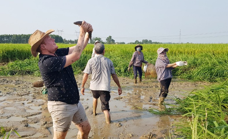 Quảng Trị: Thử nghiệm thành công mô hình lúa, gạo hữu cơ ảnh 3